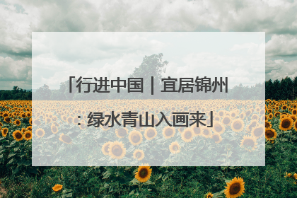 行进中国｜宜居锦州：绿水青山入画来