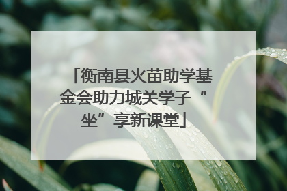 衡南县火苗助学基金会助力城关学子“坐”享新课堂