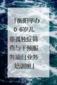 衡阳举办0-6岁儿童孤独症筛查与干预服务项目业务培训班