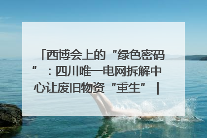西博会上的“绿色密码”：四川唯一电网拆解中心让废旧物资“重生”｜西博寻“新”记