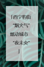 西宁豹街“烟火气” 燃动城市“夜未央”