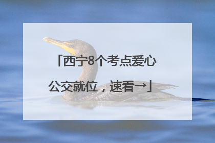 西宁8个考点爱心公交就位，速看→