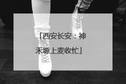西安长安：神禾塬上麦收忙