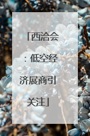 西洽会：低空经济展商引关注