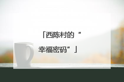 西陈村的“幸福密码”
