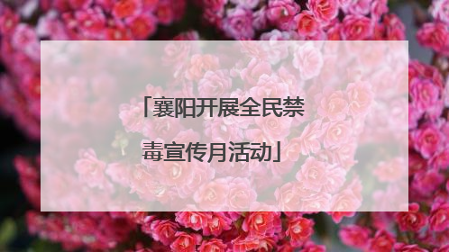 襄阳开展全民禁毒宣传月活动