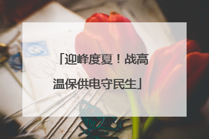 迎峰度夏！战高温保供电守民生