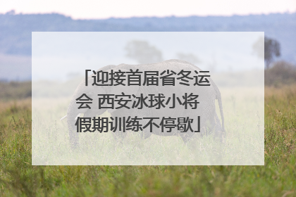 迎接首届省冬运会 西安冰球小将假期训练不停歇