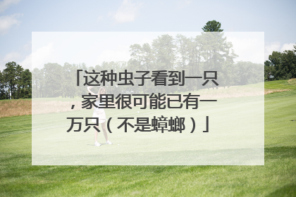 这种虫子看到一只，家里很可能已有一万只（不是蟑螂）