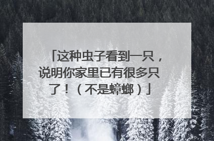 这种虫子看到一只，说明你家里已有很多只了！（不是蟑螂）