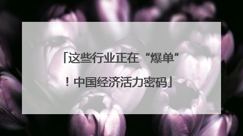 这些行业正在“爆单”！中国经济活力密码