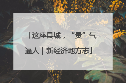 这座县城，“贵”气逼人｜新经济地方志