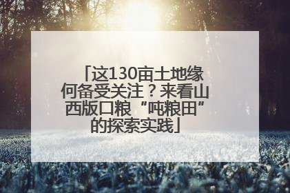 这130亩土地缘何备受关注？来看山西版口粮“吨粮田”的探索实践