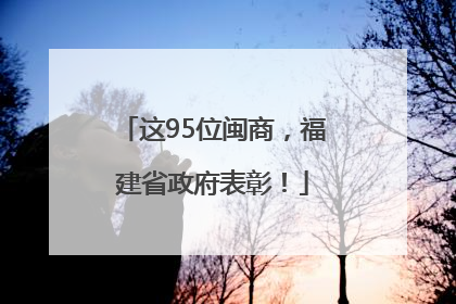 这95位闽商，福建省政府表彰！