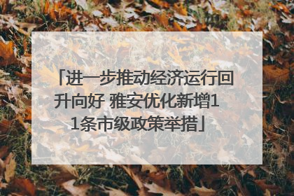 进一步推动经济运行回升向好 雅安优化新增11条市级政策举措