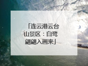 连云港云台山景区：白鹭翩翩入画来