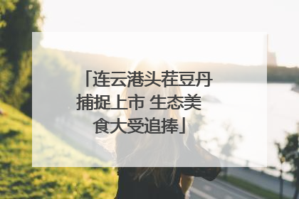 连云港头茬豆丹捕捉上市 生态美食大受追捧