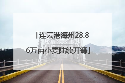 连云港海州28.86万亩小麦陆续开镰