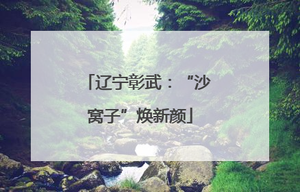辽宁彰武：“沙窝子”焕新颜