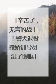 辛苦了，无言的战士！警犬退役撒娇训导员湿了眼眶