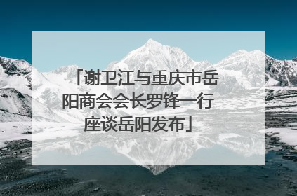 谢卫江与重庆市岳阳商会会长罗锋一行座谈岳阳发布