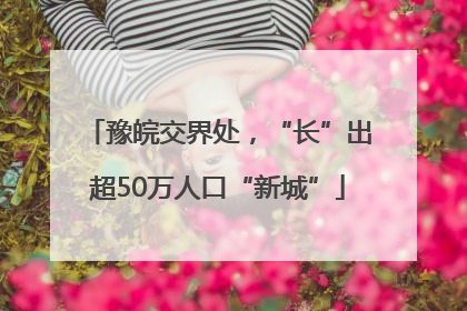 豫皖交界处，“长”出超50万人口“新城”