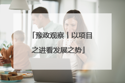 豫政观察丨以项目之进看发展之势