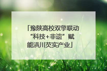 豫陕高校双擎联动 “科技+非遗”赋能潢川芡实产业