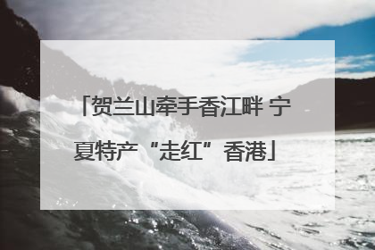 贺兰山牵手香江畔 宁夏特产“走红”香港