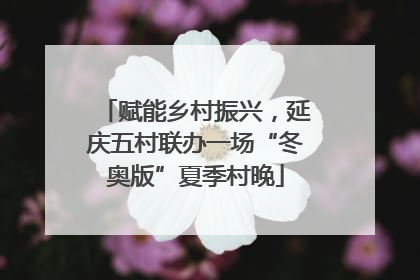 赋能乡村振兴，延庆五村联办一场“冬奥版”夏季村晚
