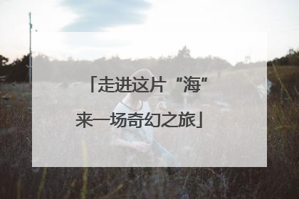 走进这片“海”来一场奇幻之旅