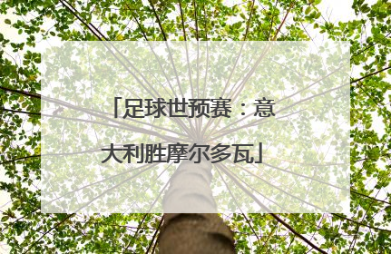 足球世预赛：意大利胜摩尔多瓦