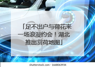 足不出户与荷花来一场浪漫约会！湖北推出赏荷地图