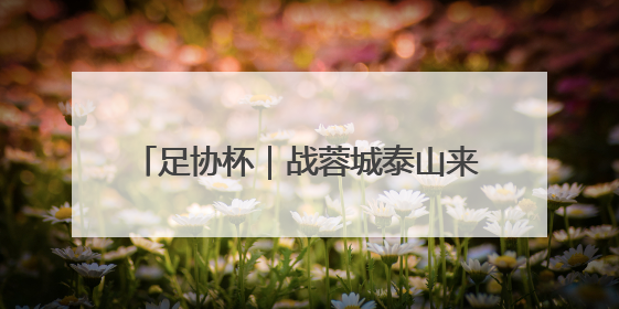 足协杯｜战蓉城泰山来到十字路口，不管输赢，新老交替势在必行