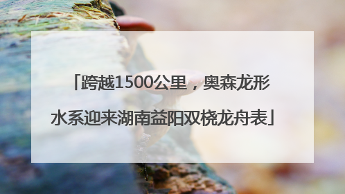 跨越1500公里，奥森龙形水系迎来湖南益阳双桡龙舟表