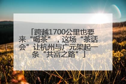 跨越1700公里也要来“喝茶”，这场“茶话会”让杭州与广元架起一条“共富之路”