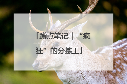 蹲点笔记｜“疯狂”的分拣工