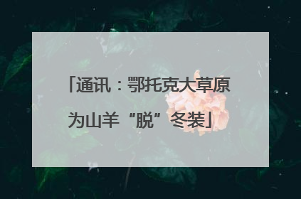 通讯：鄂托克大草原为山羊“脱”冬装