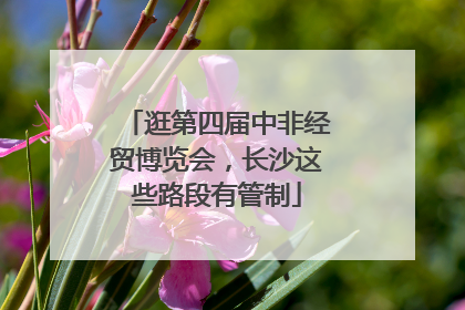 逛第四届中非经贸博览会，长沙这些路段有管制