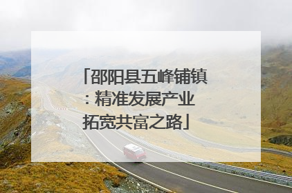 邵阳县五峰铺镇：精准发展产业 拓宽共富之路