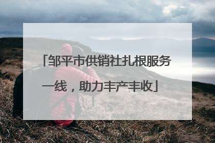 邹平市供销社扎根服务一线，助力丰产丰收