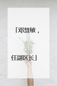 邓慧敏，任副区长