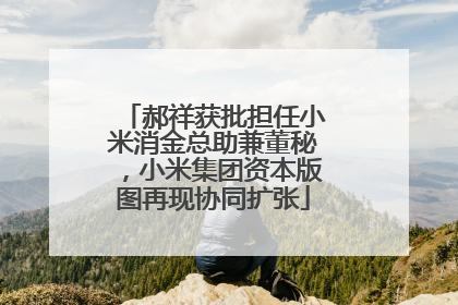 郝祥获批担任小米消金总助兼董秘，小米集团资本版图再现协同扩张