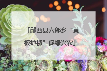 郧西县六郎乡“黄板护椒”促绿兴农