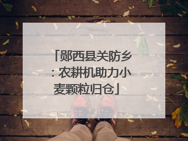 郧西县关防乡：农耕机助力小麦颗粒归仓