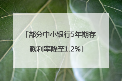 部分中小银行5年期存款利率降至1.2%