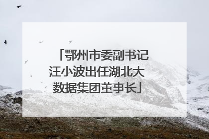 鄂州市委副书记汪小波出任湖北大数据集团董事长