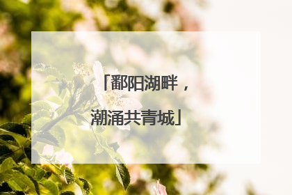 鄱阳湖畔，潮涌共青城