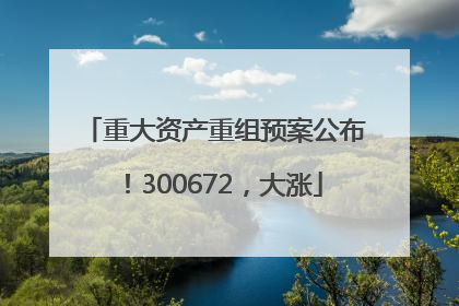 重大资产重组预案公布！300672，大涨
