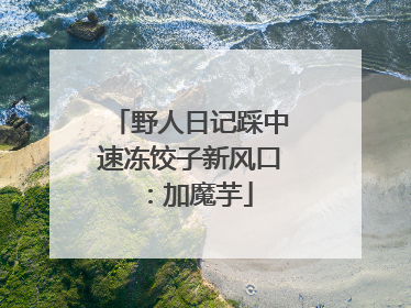 野人日记踩中速冻饺子新风口：加魔芋